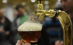 Eurostat: Produkcia piva v EÚ vlani vzrástla na 39 miliárd litrov 